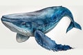 Full Body Blue whale watercolor, Beautiful Animal in Wildlife. Isolate on white background