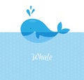 Blue whale with sea