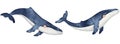 Blue whale seamless border. Set of Cute baby cetaceans fish, Underwater animal. Hand drawn watercolor illustration of Royalty Free Stock Photo