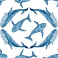 Blue whale seamless pattern hand-drawn in watercolor isolated on white. High quality monochromatic illustration for Royalty Free Stock Photo