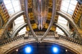 A Blue Whale skeleton hanging in Great Hall at Natural History Museum in London England 1 - 11 - 2018