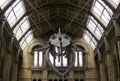 Whale Skeleton. Natural History museum. London