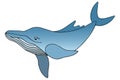 Blue whale. Underwater monster. Vector stock illustration. White isolated background. Plankton marine mammal.