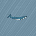 Blue whale is underwater with sun light or sun rays. Vector hand drawn cartoon childish illustration on the blue Royalty Free Stock Photo