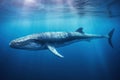 Blue whale underwater swimming in the depths of the ocean Royalty Free Stock Photo