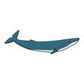 Blue whale. Vector hand drawn cartoon childish isolated illustration on the white background. Polar animal in Antarctica Royalty Free Stock Photo