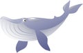 blue whale. Vector illustration