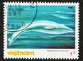 Blue Whale on Vietnamese Postage Stamp