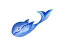 Blue whale. Watercolor illustration. Isolated element on a white background. Royalty Free Stock Photo