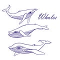 Blue whales sketch Doodle Vector