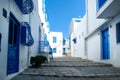 Blue and white architecture of streets Sidi bou Said.