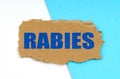 On a blue and white background lies a piece of cardboard with the inscription - RABIES