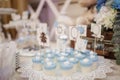 blue and white christening candy bar: close up photo of pana cotta with sticks Royalty Free Stock Photo