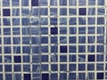 Blue and white color checked ceramic designed tiles for wall finishes for an Toilet work with abstract background