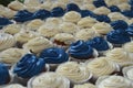 Blue and white cupcakes or muffins