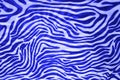 Blue and white curved stripes. A pattern on the fabric as a background texture. Animalistic abstract background Royalty Free Stock Photo