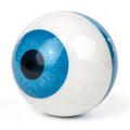 Blue and white 3D eye model Royalty Free Stock Photo