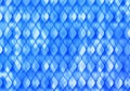 Blue and White Decorative Background. Vector Fish Scale Mosaic Texture. Abstract Sequins Wallpaper