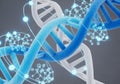 A blue and white dna double helix structure with molecular models Royalty Free Stock Photo