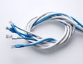 Blue and White Ethernet Cable for Computer Networks Royalty Free Stock Photo