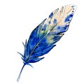 Blue white feater. Watercolor bird feather from wing isolated. Aquarelle feather for texture. Background set.