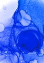 Blue and White Fluid Illustration. Creative Royalty Free Stock Photo