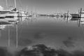 Blue and white, luxury boats and yachts moored in Tauranga Marina Royalty Free Stock Photo