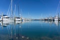 Blue and white, luxury boats and yachts moored in Tauranga Marina Royalty Free Stock Photo