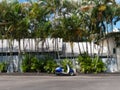 Blue white motor scooter with palm trees