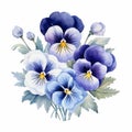 Blue And White Pansy Bouquets Watercolor Clipart Royalty Free Stock Photo