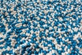 Blue and white pills closeup Royalty Free Stock Photo