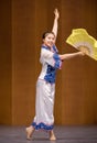 Blue and White Porcelain Solo Dance 1-National Dance Posture Training