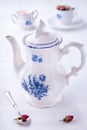 Blue white porcelain teapot Royalty Free Stock Photo