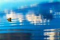 Blue White Reflection Abstract Lake Sammamish State Park Issaquah Washington Royalty Free Stock Photo