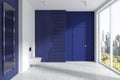 Blue and white restroom interior with toilet and door, towel rail and window