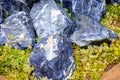 Blue and white Sodalite gemstone large chunks unpolished pile