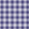 Blue white woven plaid