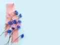 Blue wild flowers and pink silk ribbon on pastel blue background, copy space, place for text and product. Blue cornflowers frame Royalty Free Stock Photo