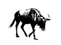 Blue wildebeest - Connochaetes taurinus, black and white vector