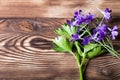 Blue wildflowers and garden herbs lie on an old board Royalty Free Stock Photo