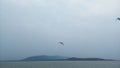 Birds lake sky flying chillika lake odisha