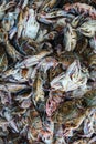 blue wimmer portunus pelagicus crab pile in indian fish market