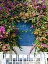 Blue window covered with purple flowers Royalty Free Stock Photo