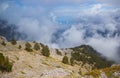 Blue Window in Mountain Sky and Large Clouds Nature Landscape Green Pine Trees