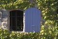 there is a blue window on a building with vines in it Royalty Free Stock Photo