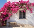 blue window of typical white house in greek island, pink bougainvillea in santorini