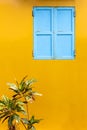 A Blue Window in Yellow Wall Royalty Free Stock Photo