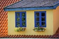 Blue windows Royalty Free Stock Photo