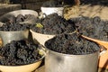 Blue wine grapes harvest Royalty Free Stock Photo