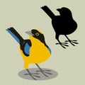 Blue - winged mountain tanager vector illustration flat style black Royalty Free Stock Photo